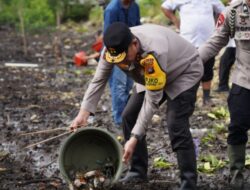 Kapolda Sulbar Lepas Ribuan Kepiting Untuk Meningkatkan populasi kepiting di perairan Sulawesi Barat