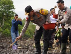 Peduli Kelestarian Ekosistem Laut, Kapolda Sulbar Lepas Ribuan Benih Kepiting, Dorong Ketahanan Pangan