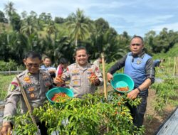 Kebun Ketahanan Pangan Biddokkes Polda Sulbar: Menumbuhkan Ekonomi dan Kesejahteraan Masyarakat