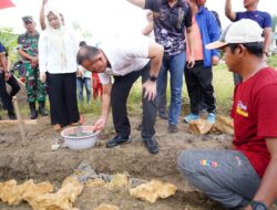 Kapolda Sulbar Meletakkan Batu Pertama Pembangunan Green House