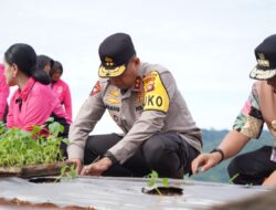 Kapolda Sulbar, Jadikan Tempat Strategis Penanaman Komoditas di Desa Botteng, Guna Mendukung Ketahanan Pangan