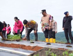 Dorong Ketahanan Pangan, Kapolda Sulbar Tanam Komoditas Pangan Strategis di Botteng