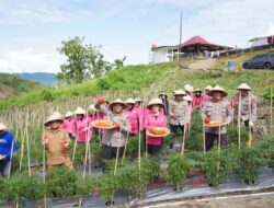 Ketua Bhayangkari Sulbar, Menyebutkan, bahwa Program Pekarangan Pangan untuk Meningkatkan Kualitas Gizi keluarga, Khususnya Anak-Anak