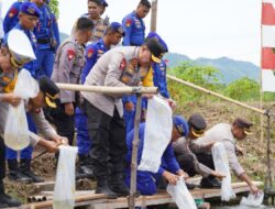 Kapolda. Sulbar bersama Ketua Bhayangkari Sulbar dan Rombongan PJU Turun kelapangan untuk Menebar Ribuan Benih Udang 