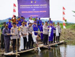 Dorong Ketahanan Pangan, Kapolda Sulbar Turun Kelapangan bersama Ketua Bhayangkari Sulbar, Menebar Ribuan Benih Udang