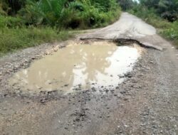 Jalan Poros Penghubung Desa Lilimori dan Desa Lelejae, Memprihatinkan