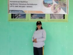 SMKN 1 Baras Kembangkan Kreativitas dengan Lokasi TEFA “Tuo Marendeng Nursery”