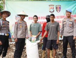 Bid Propam Polda Sulbar Serahkan Bibit Jagung Unggul, Dukung Petani Lokal