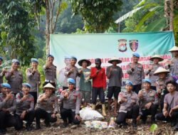 Polda Sulbar Dukung Ketahanan Pangan, Propam Tanam Jagung