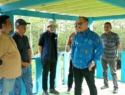 Gubernur Sulbar Tinjau Lokasi Kawasan Industri Pasangkayu, Dorong Pembangunan Ekonomi