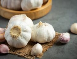 Penurun Kolesterol Alami dari Tanaman Herbal