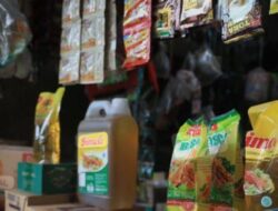 Prof Dr Sutan Nasomal Minta Presiden RI Perintahkan Menterinya Babat Mafia Sembako “Harus Dimusnahkan!!”