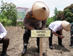 Kapolda Sulbar Meriahkan Kegiatan Tanam Jagung Serentak dan Peresmian Gudang Jagung Polri, Wujud Dukungan Ketahanan Pangan
