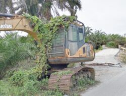 Jembatan Penghubung Desa Lelejae dan Lilimori Seakan Terhalang Alat Berat Exapator