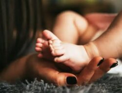 Tragis,! Jasad Bayi Laki-laki Tidak Utuh Ditemukan di Jember Polisi Duga Pelaku adalah Ibu Kandung Korban