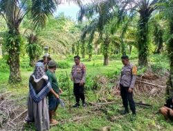 Kapolsek Bambalamotu Dampingi BPN Lakukan Penyesuaian Batas Lahan Perkebunan Warga yang Bersengketa