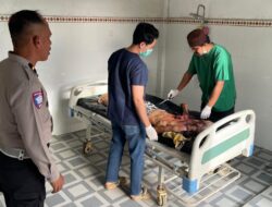 Kecelakaan Maut, Lelaki (68) Kendarai Sepeda Gayung Tertabrak Truk, Tewas di TKP, Unit Gakkum Sat Lantas Polres Pasangkayu, Sigap Tangani Laka