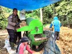 Sinergi Polri dan Petani, Bhabinkamtibmas Polsek Baras Dorong Ketahanan Pangan Lewat Panen Jagung