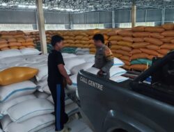 Polsek Sarudu Awali Penjualan Jagung Warga ke Bulog, Dukung Ketahanan Pangan
