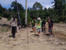 Bhabinkamtibmas Polsek Pasangkayu Tanam Jagung Bersama Warga, Dukung Ketahanan Pangan