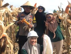 Sinergi Polsek Pasangkayu dan Warga Gencarkan Program Pertanian untuk Ketahanan Pangan Berkelanjutan