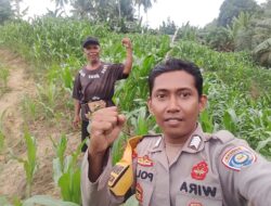 Sinergi Polri dan Warga Bambalamotu, Wujud Nyata Perkuat Ketahanan Pangan Nasional