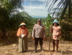Polri dan Masyarakat Bahu Membahu Wujudkan Ketahanan Pangan di Pasangkayu