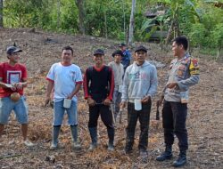 Upaya Meningkatkan Ketersediaan dan Kemandirian Pangan, BKTM Bambalamotu Bersinergi dengan Warga