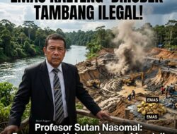 Prof Sutan Nasomal Kritik Diamnya Ormas Adat Dayak dan Aktivis Hadapi Mafia Merkuri di Kalteng