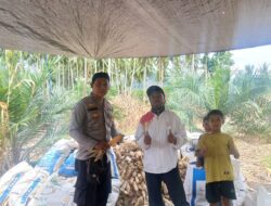 Polisi Ikut Panen Jagung di Bambaira, Dorong Petani Dukung Ketahanan Pangan