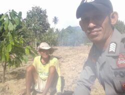 Dukung Ketahanan Pangan, Bhabinkamtibmas Cek Lahan Jagung Warga di Desa Ako