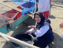 Lestarikan Hewan Dilindungi, 30 Ekor Tukik atau Penyuh Dilepas ke Laut