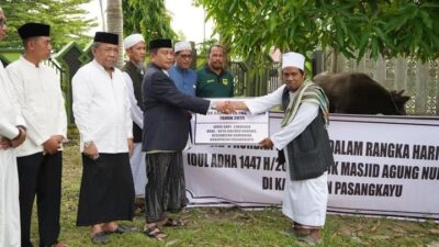 Bupati Pasangkayu Serahkan Sapi Qurban Jumbo 830 Kg dari Presiden Prabowo Subianto ke Masjid Nurul Huda Dibeli dari Peternak Lokal Bambaira