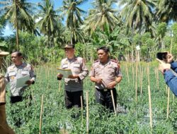 Polsek Bambalamotu Gelar Lomba P2L & P2B, Dorong Masyarakat Manfaatkan Pekarangan Dukung Ketahanan Pangan