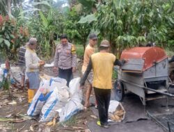 Bhabinkamtibmas Polsek Bambalamotu Turun Langsung Dampingi Panen Jagung Kelompok Tani Desa Bambaira