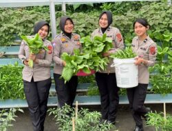 Panen Pekarangan Pangan Lestari, Ditlantas Polda Sulbar Kembali Berbagi Hasil Bagi Pengendara Tertib