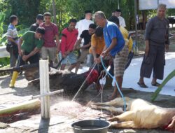 Kapolda Sulbar Irjen Pol Adi Deriyan Jayamarta Pimpin Shalat Idul Adha 1447 H di Mako, Pererat Ukhuwah Polri-Masyarakat Lewat Halal Bihalal Akbar