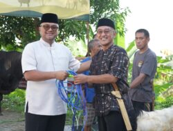 Gema Takbir hingga Penyembelihan Qurban: Polda Sulbar Maknai Idul Adha 1447 H sebagai Momentum Ketaatan dan Berbagi Rezeki kepada Umat