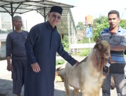 Puluhan Hewan Qurban Disembelih, Kapolda Sulbar Tanamkan Semangat Pengorbanan untuk Kokohkan Persatuan dan Pelayanan Prima bagi Warga