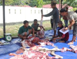 Polres Pasangkayu Sembelih 8 Ekor Sapi Qurban, 250 Kupon Dibagikan Kepada Masyarakat