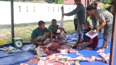 Polres Pasangkayu Sembelih 8 Ekor Sapi Qurban, 250 Kupon Dibagikan Kepada Masyarakat