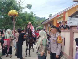 Meriah & Kondusif, Bhabinkamtibmas Polsek Bambalamotu Kawal Iring-Iringan Tradisi Kuda Sayyang Pattuddu’ di Dusun Salunggaluku