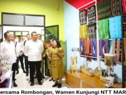 Wamen PANRB Puji NTT Mart: UMKM Lokal Naik Kelas, Produk NTT Laris Manis