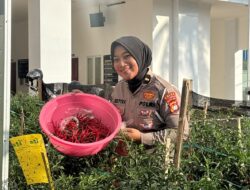 Konsisten Edukasi Humanis, Ditlantas Polda Sulbar Kembali Bagikan Sayur Segar untuk Pengendara Tertib