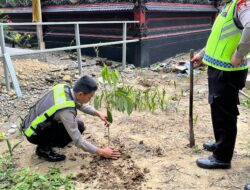 Satlantas Polres Pasangkayu Gelar Penanaman Pohon Bersama Masyarakat, Wujud Kepedulian Lingkungan di Hari Bhayangkara ke-80