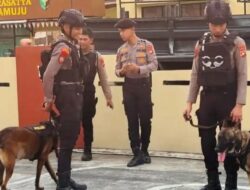 Kabur ke Hutan Usai Pukul Polisi, AN (36) Akhirnya Ditangkap Berkat Bantuan Anjing Pelacak K-9 ‘Peres’ dan ‘Bono’