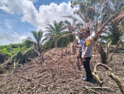 Kapolsek Sarudu Cek Kesiapan Lahan Jagung di Desa Doda, Dukung Program Ketahanan Pangan Nasional