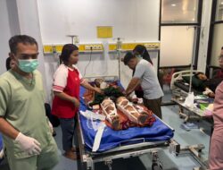 Bus Raja Trans dan Motor CRF Terlibat Kecelakaan di Jalur Trans Sulawesi Pasangkayu, Dua Remaja Alami Luka-Luka