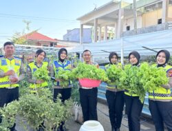 Dari Kebun ke Jalan, Ditlantas Polda Sulbar Wujudkan Ketahanan Pangan Lewat Aksi Berbagi untuk Masyarakat