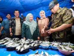 Cegah Lonjakan Harga, Wagub Reny Bersama Bupati Tolitoli Pantau Langsung Pasar Susumbolan